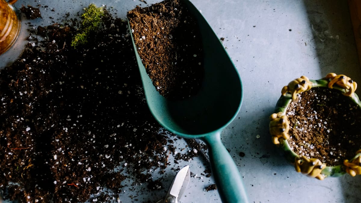 Como Fazer Mudas de Plantas em Água: Guia Passo a Passo de Hidropropagação para Folhagens e Ervas