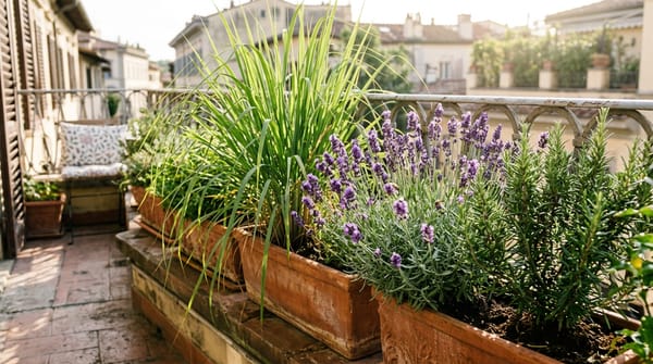Plantas que Afastam Mosquitos e Insetos em Casa: O Poder da Citronela, Lavanda, Manjericão e Alecrim
