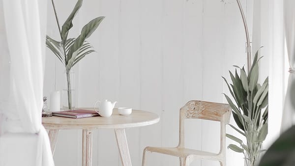 Umidificador de Ar: Como Escolher o Melhor Modelo para a Saúde Respiratória e Plantas